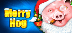 Merry Hog