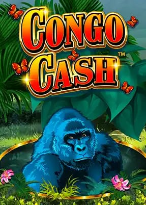Congo Cash XL